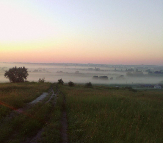 Работа 3246546