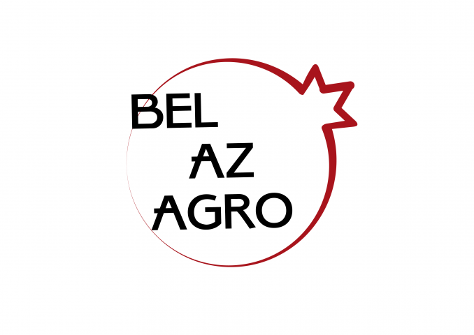 Гранатовый сок