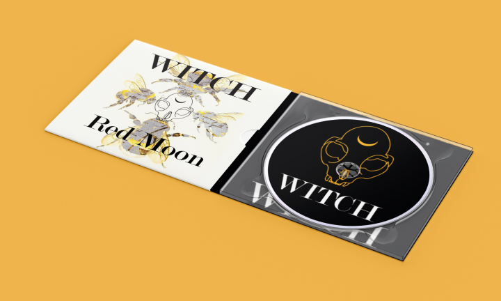 Музыкальный диск для Рок - группы