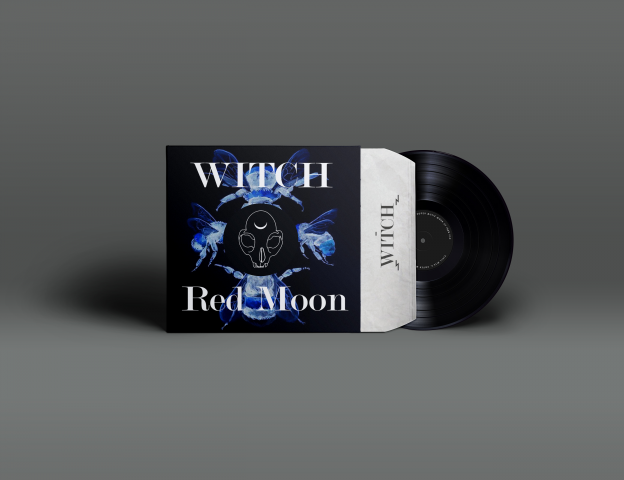 Виниловый диск для музыкальной группы