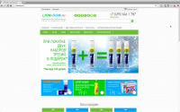 Интернет-магазин lionvdom.ru