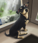 Puppy