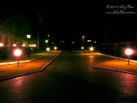 Project Night City