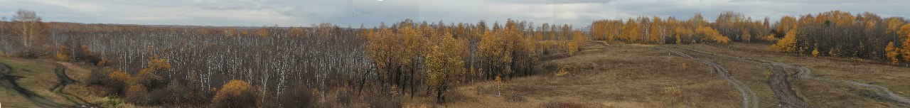 pic1283771.jpg