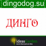 SEO аудит сайта dingodog.su