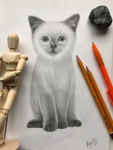 Кот