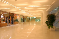 Работа 2409013