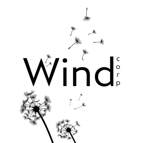 LOGO WIND CORP