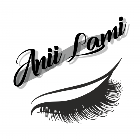 LOGO ANII LAMI