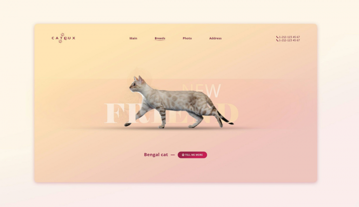 CatLux concept