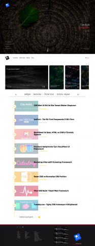 Developer Css & Js