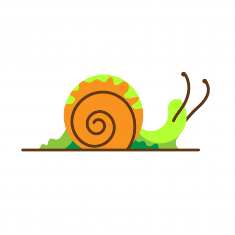 Snail