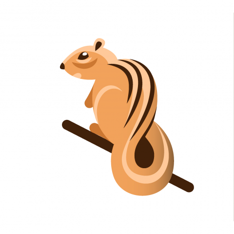 Chipmunk