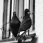 Фото природы