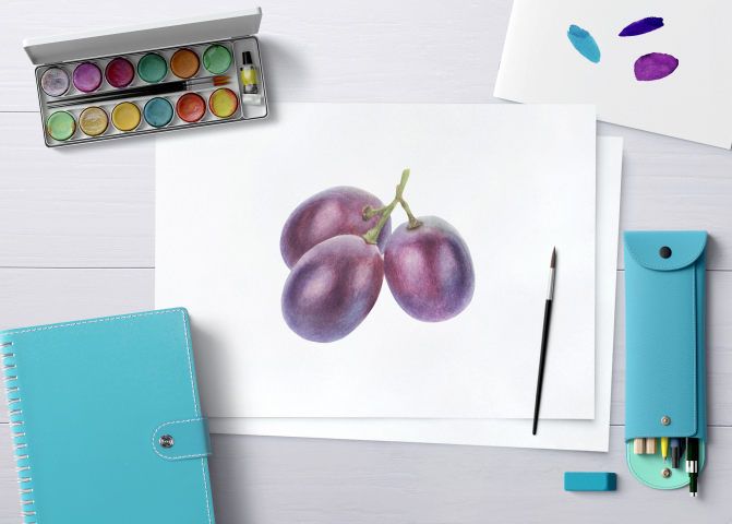 Watercolor botanical grape