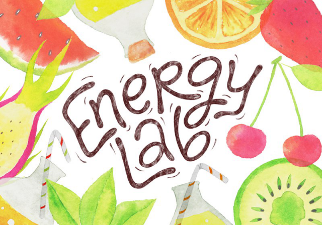 Energy Lab