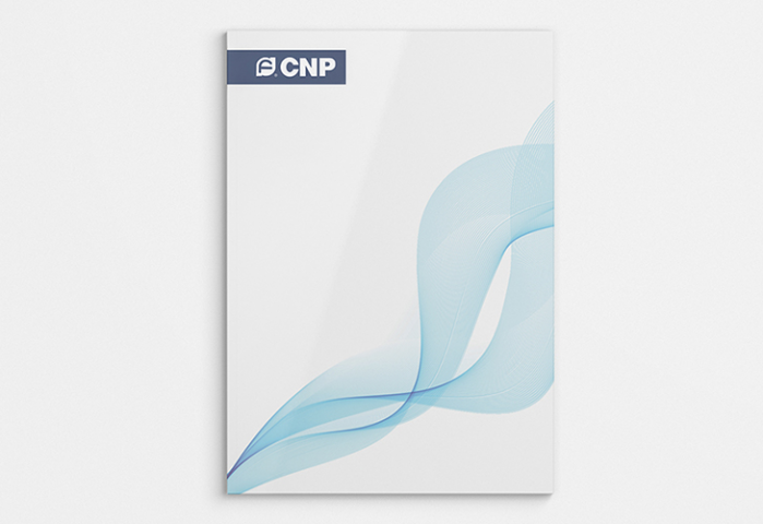 Продуктовый каталог компании CNP