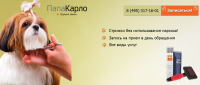 Груминг
