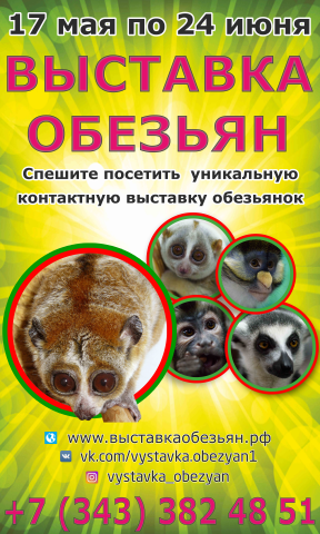 Выставка обезьян