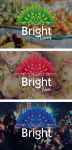 Bright