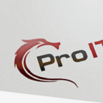 Pro IT Group