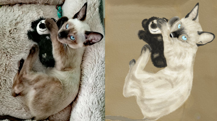 Рисунок кота с фото