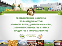 Презентация птицефабрики