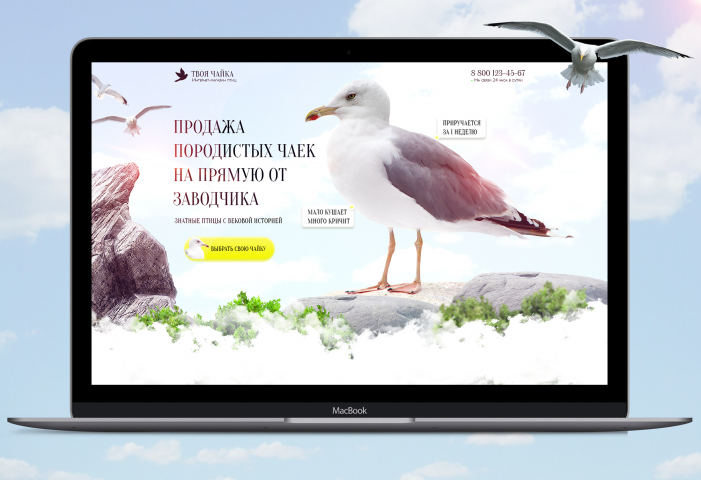 Разработал дизайн Landing page