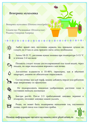 Разработка макета