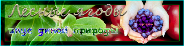 Работа 3416948