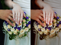 Игра с цветами