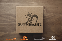 Работа 2693348