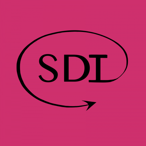 SDI custom