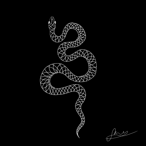 snake sketch