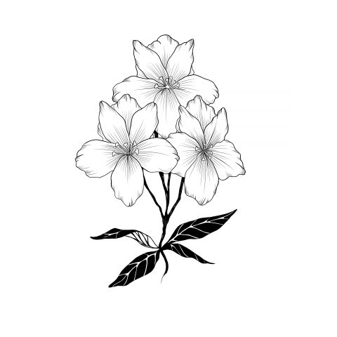 tattoo sketch flower
