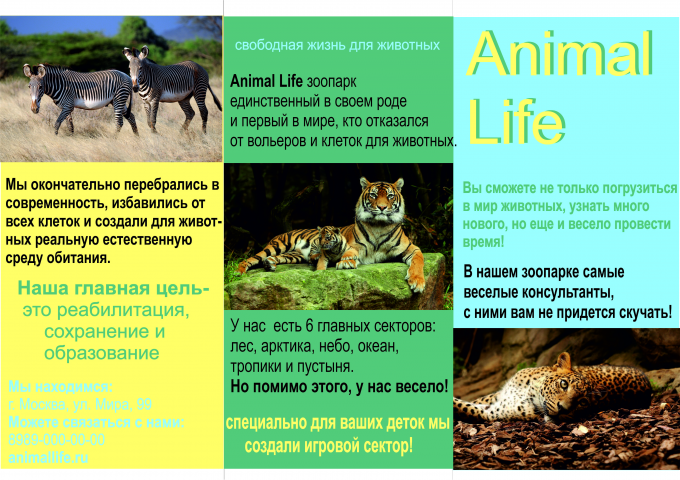 буклет