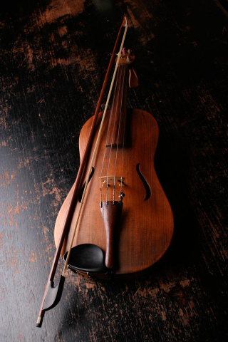 Carnatic (скрипка)