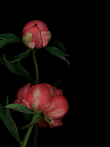 Работа 3236596