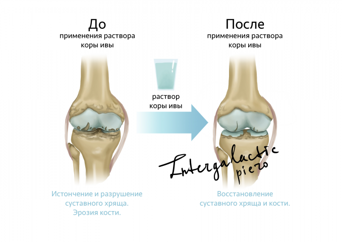 Работа 3512749