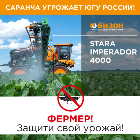 Дизайн постов в соц.сети