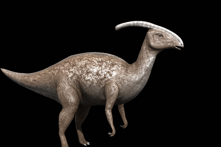 Parasaurolophuspic