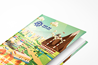 Годовой отчет для ПАО РАО ЭС Востока