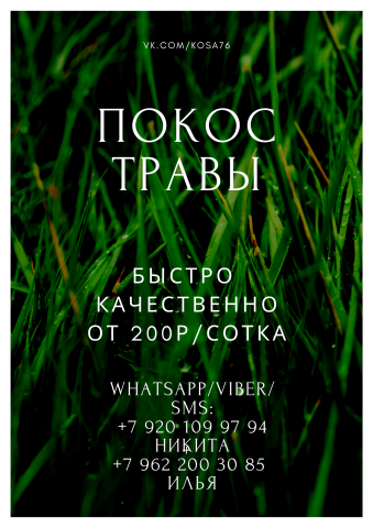 Работа 3917336