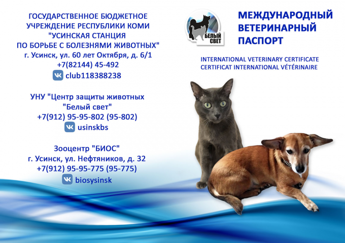Ветеринарный паспорт
