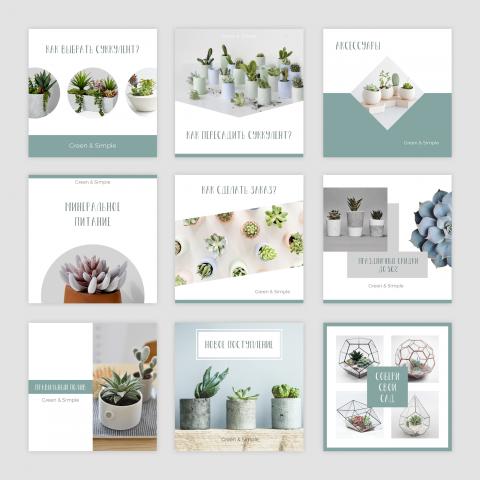 Instagram templates для магазина кактусов