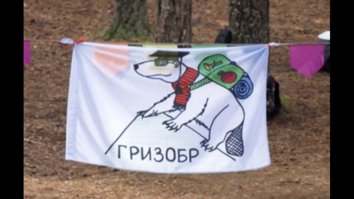 Гризобр - 2019