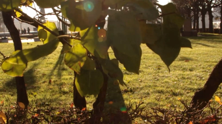 Die Arzte - Junge || Unofficial fan clip