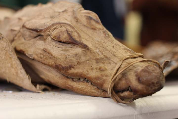 Работа 3883423