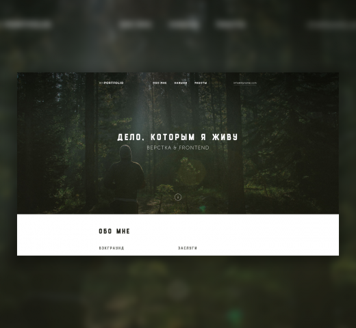 Мое портфолио