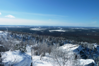 Работа 2201059